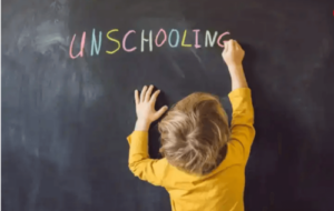 새로운 교육적 대안, 언스쿨링