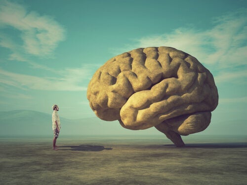 도덕적 두뇌: 윤리와 인간 가치에 대한 신경 기반