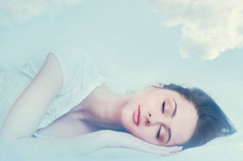 데카르트 철학과 꿈