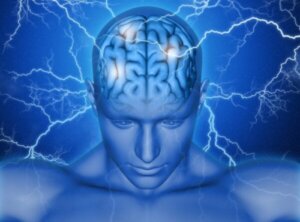 뇌의 운동 보조 영역 기능과 교란