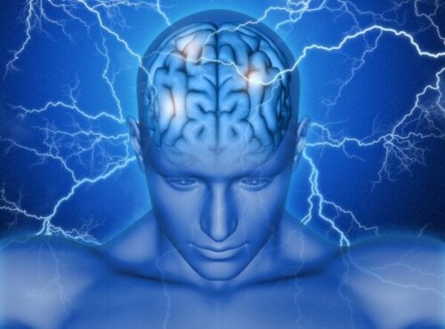 뇌의 운동 보조 영역 기능과 교란